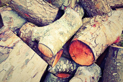 Frant wood burning boiler costs
